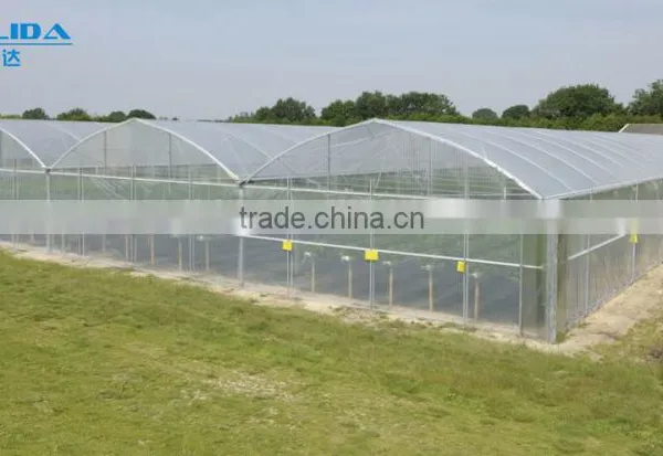 Plastic Film Covered Greenhouse For Mushroom&Roses photo-3