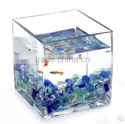 Home Table Decoration Square Clear Glass Plant Hydroponic Container Flower Vases photo-4