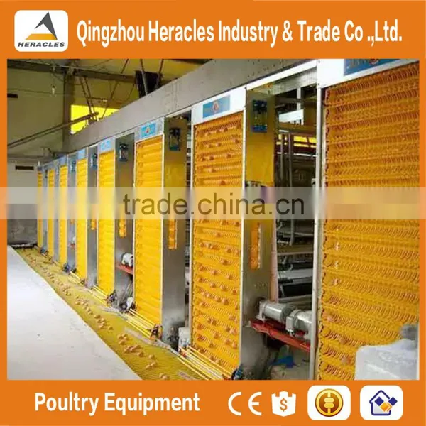 Trade Assurance Automatic Manure Cleaning Layer Polultry Farm Equipment photo-5