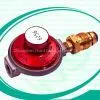 Gas Regulator for Heating(01)