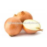 Sell Fresh Yellow Onion