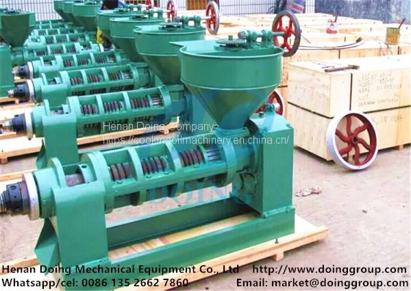 Moringa Oil Press Machine Single Screw Cold Pressed Oil Machine photo-2