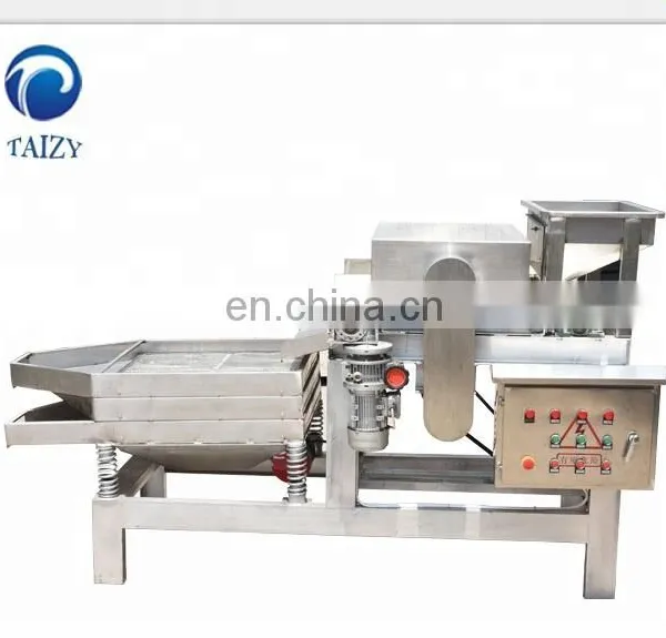 Straight Knife Nut Chopper Crushing Machine Almond Chestnut Cutting Machine Peanut Chopping Machine photo-4