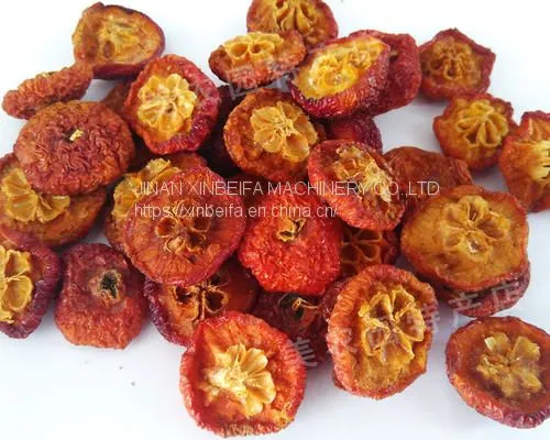 Crabapple Stem Drying Machine photo-4