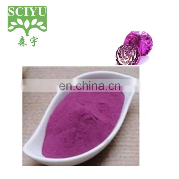 Super Food and Juice Supplement Red Dragon Fruit Extract Powder photo-2