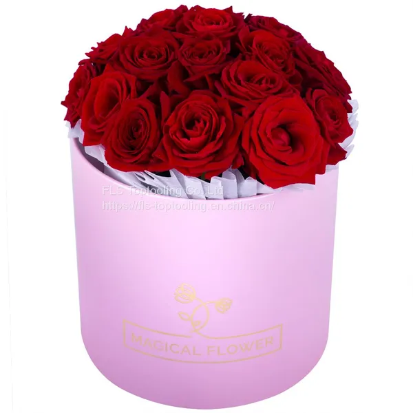 Wholesale Home Garden Desk Decoration Colorful Round Shape Small Flower Plant Pots Indoor Pots photo-3