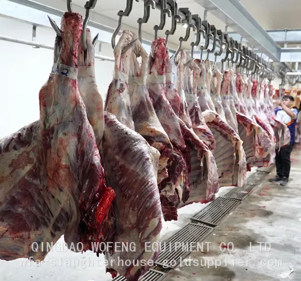 Professional Manufacture Butchery Equipment Machine For Cattle Slaughter Line photo-5