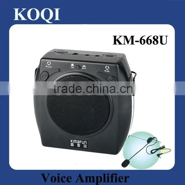 Portable Mini USB Amplifier With Headset Microphone