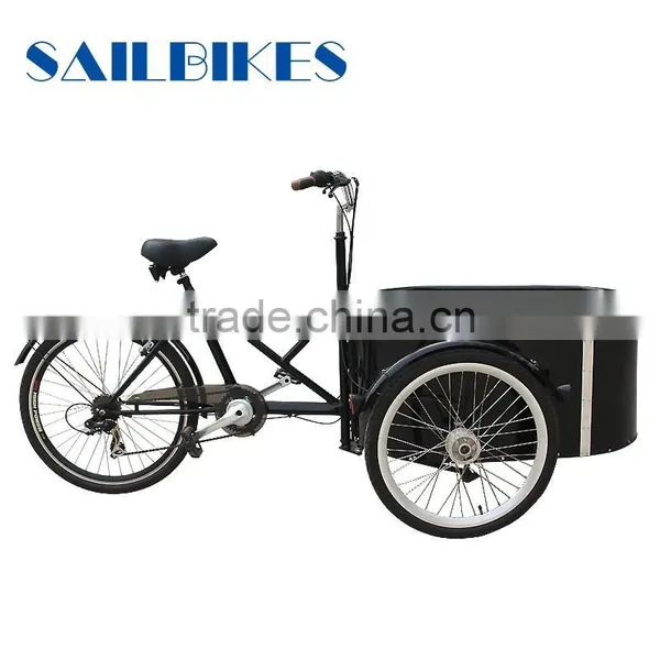 Electric Tricycle Cargo for Family photo-4