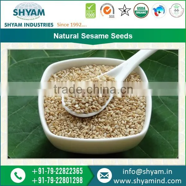 Best Processed and Clean Natural Sesame Seeds for Sale