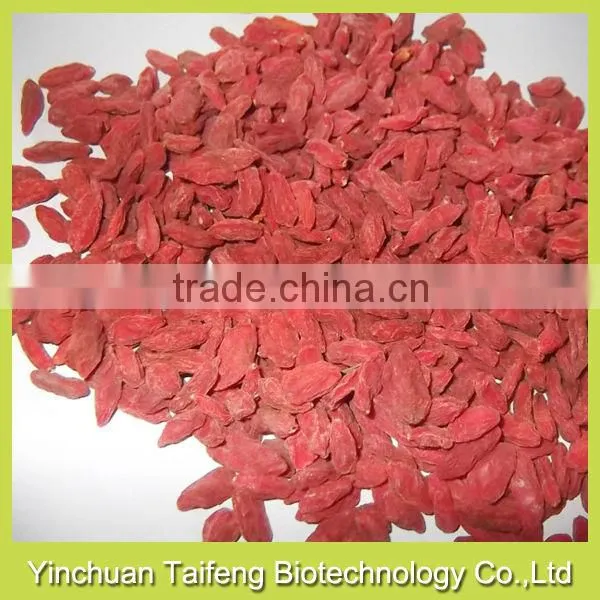 Hot Selling Organic Dried Goji Supplier photo-2