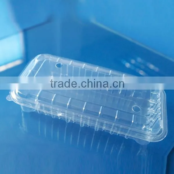 Disposable Rectangle Plastic Clear Fruit Containers With Lids photo-3