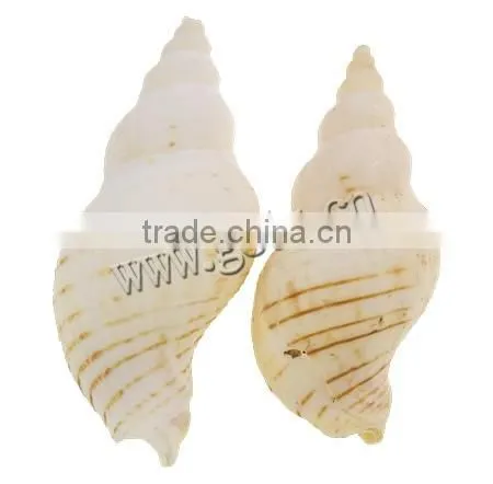 38-55mm Helix Natural Freshwater Shell Pendants