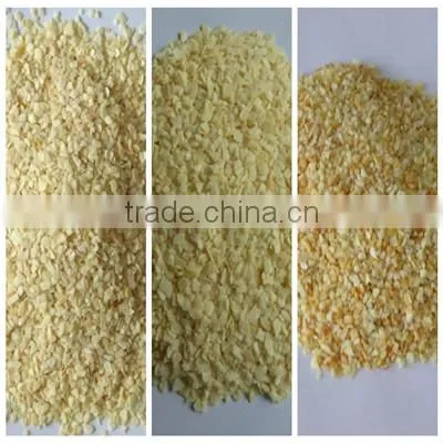 Bulk Dehydrated Garlic Powder 80-120 Mesh Price Quality Choice photo-2