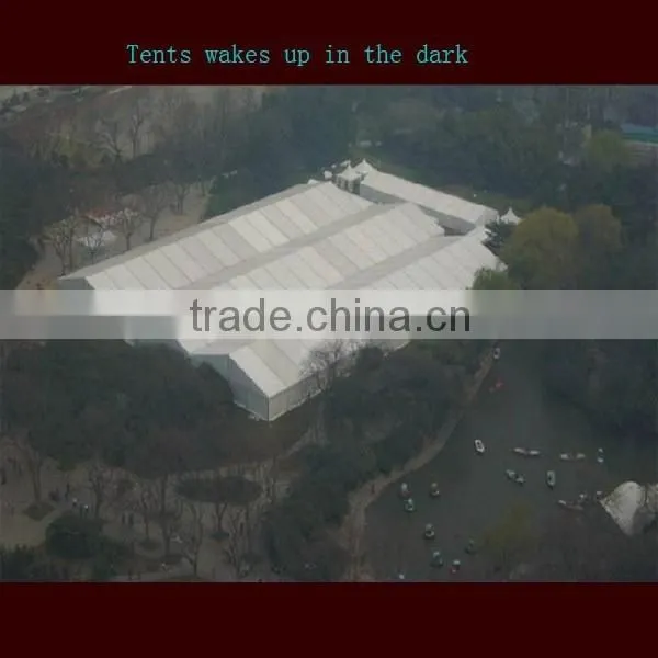 PP Hot Sale Clear Roof Tent Pop up photo-2