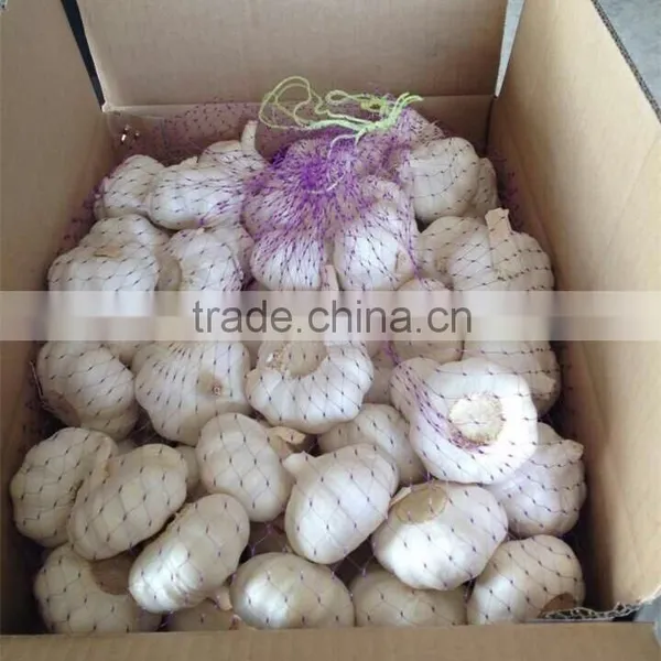 2015 New Season Chinese Garlic Wholesale Fresh Natural Garlic Normal White Garlic Pure White Garlic Purple Garlic photo-3