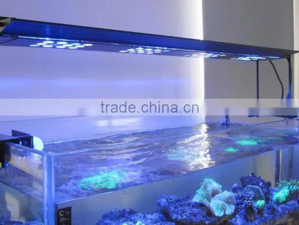 2016 Hot Selling Programmable Full Spectrum Coral Reef Used Led Aquarium Light photo-3