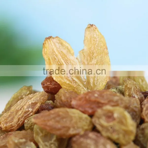 Good Price Green Raisins Seedless Grape photo-4