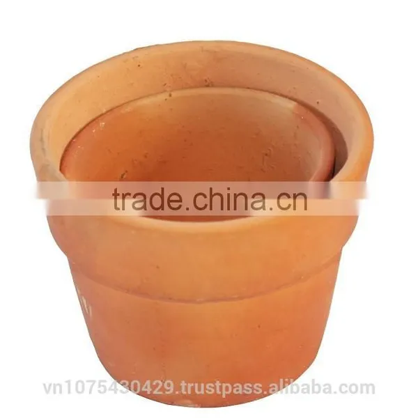 Beautiful Decoration Orchid in Pot, Red Terracotta Pots