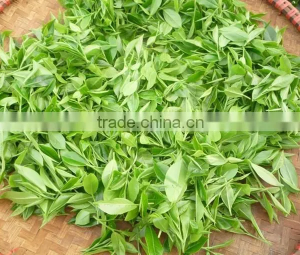 Vietnam Traditional GREEN TEA photo-6