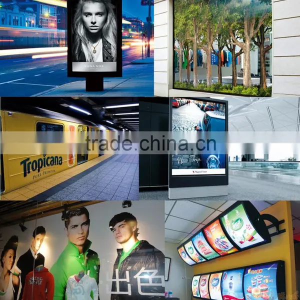 126inch Easy Operating Wide Format Sticker/poster/banner Printer Machine With Dx5 Dx7 Printhead photo-5