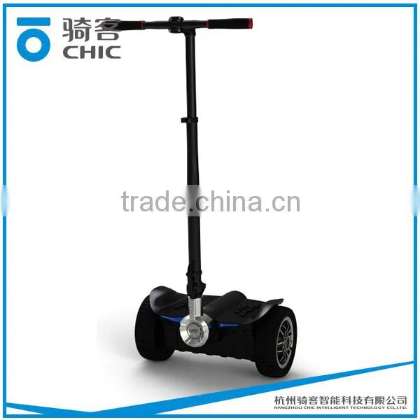 20kms Range Per Charge and 700w Power 2 Wheel Electric Chariot for Sale
