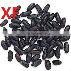 Black Rice photo-2