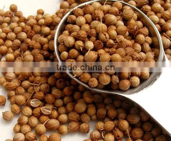 Indian High Grade Fresh Wholesale Dried Coriander Seed photo-5