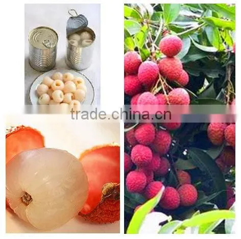 Canned Lychee