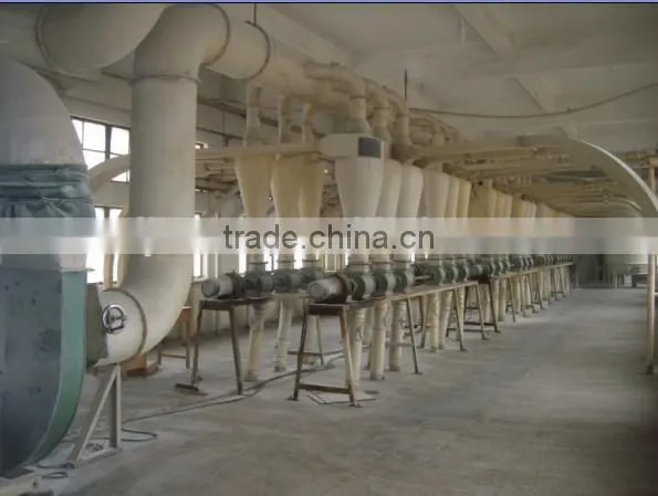 High Quality Wheat Gluten Meal photo-6