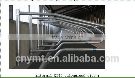 Cattle Farm Cattle Free Stall photo-2