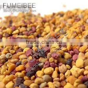 Muti-flower Bee Pollen From China photo-3