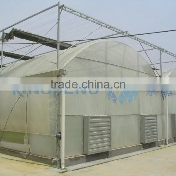 Plastic Film Greenhouse For Agriculture Use photo-2