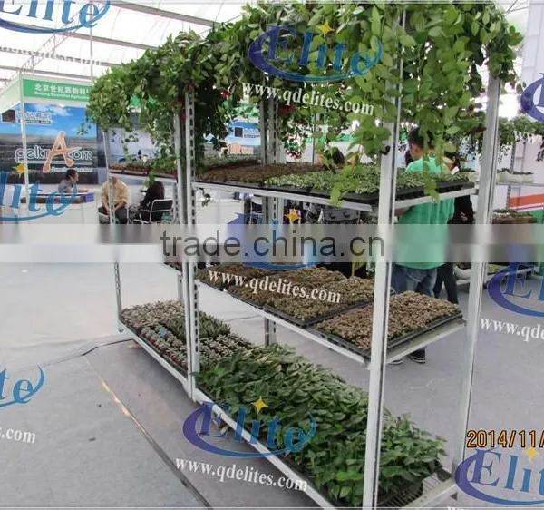 251Seedling Trolleys photo-6