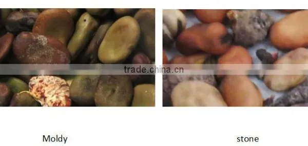 2016 High Accuracy Professional Grain Ccoffee Bean Sorting Machine For Coffee,Cocoa,Bean,Wheat photo-2