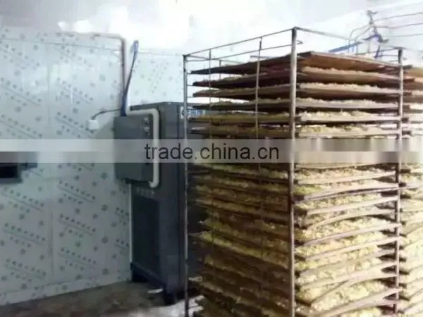 Ginger Heat Pump Dehydrator photo-4
