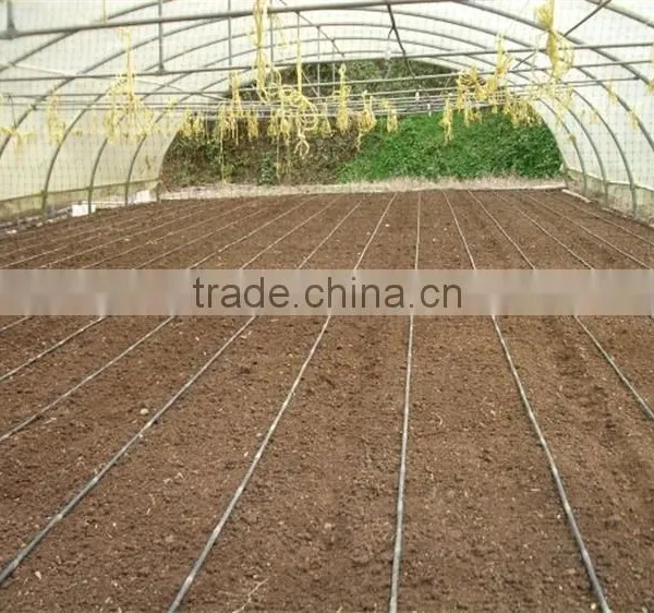 Low Cost Plastic Tunnel Greenhouse for Used Poultry Farm photo-2