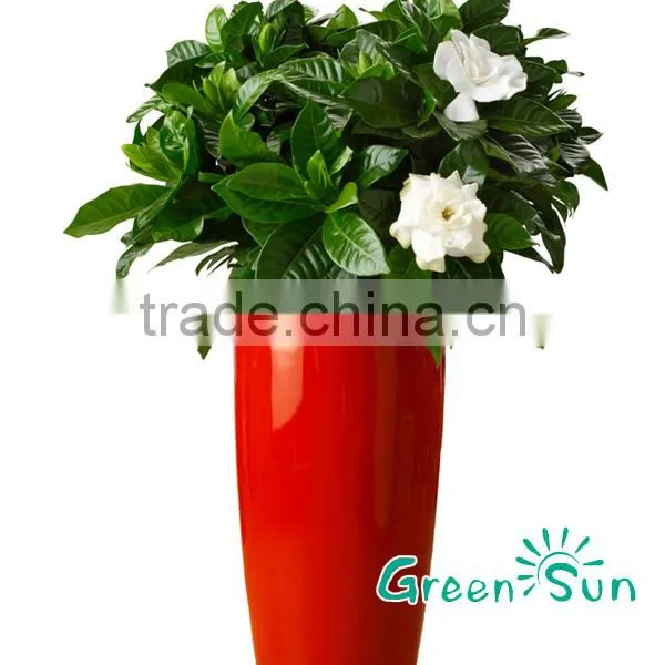 Beautiful Large Waterproof PP Plastic Flower Pots photo-4