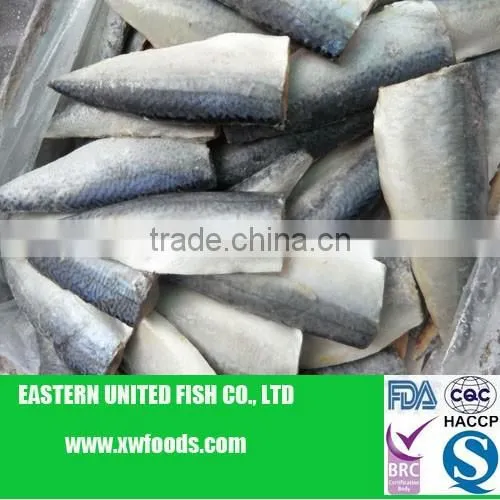 Frozen Mackerel