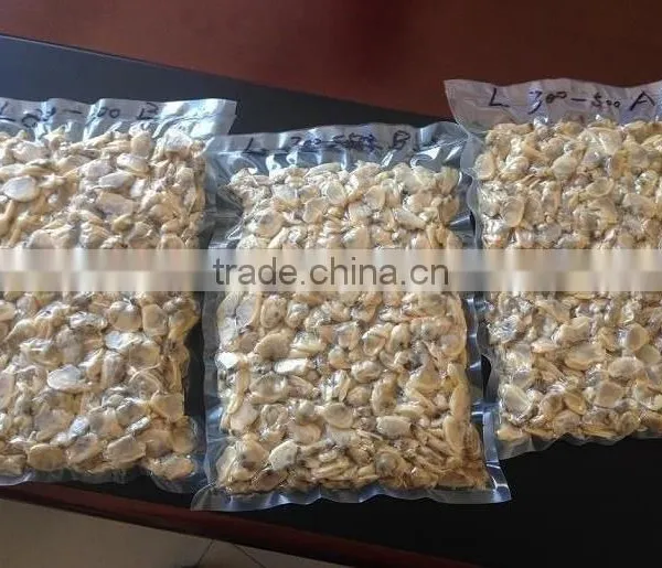 IQF Short Necked Clam Meat Treated photo-3