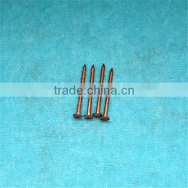 Concrete Brass Nail photo-6