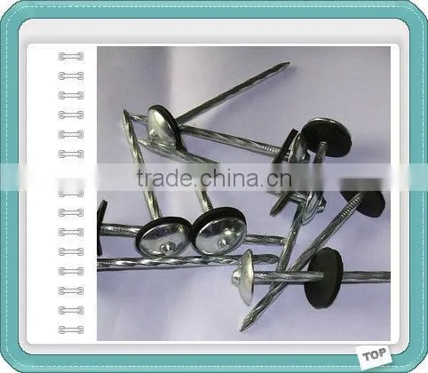 Turkey Market Galvanzied ROOFING NAILS BWG9X2.5" photo-5