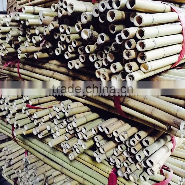 Excellent Quality Factory Price Garden Bamboo Canes for Sale photo-4
