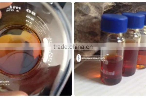 Vietnam Agarwood Oil Price photo-2