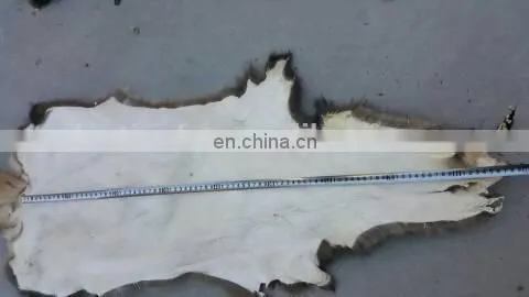 High Quality Genuine Raccoon Fur Skin for Coat /garment photo-3