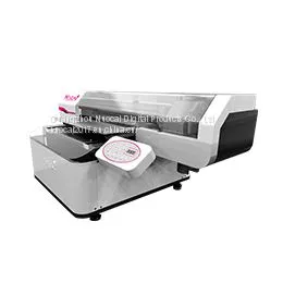 Guangzhou Nuocai Digital UV Flatbed Printer Machine with two print head