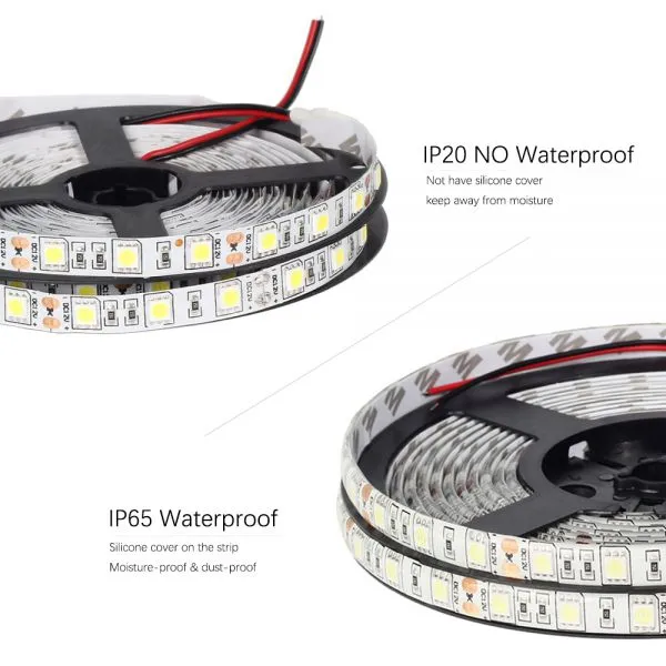 DC12V LED Strip 5050 60LEDs /m 5M IP20 IP65 LED Flexible Strip Light 5050 SMF + DC12V Adapter White / Warm White photo-3