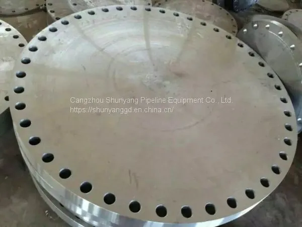 Socket Welding Flange SW photo-5