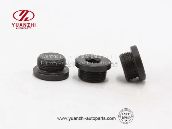 Black Hex Socket Oil Pipe Plugs Factory