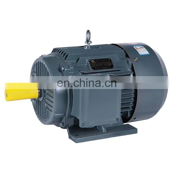 Hot Selling 15kw 2930 Rpm YE2 160M2-2 Three Phase Electric ac Water Pump Motor of China Supplier photo-2